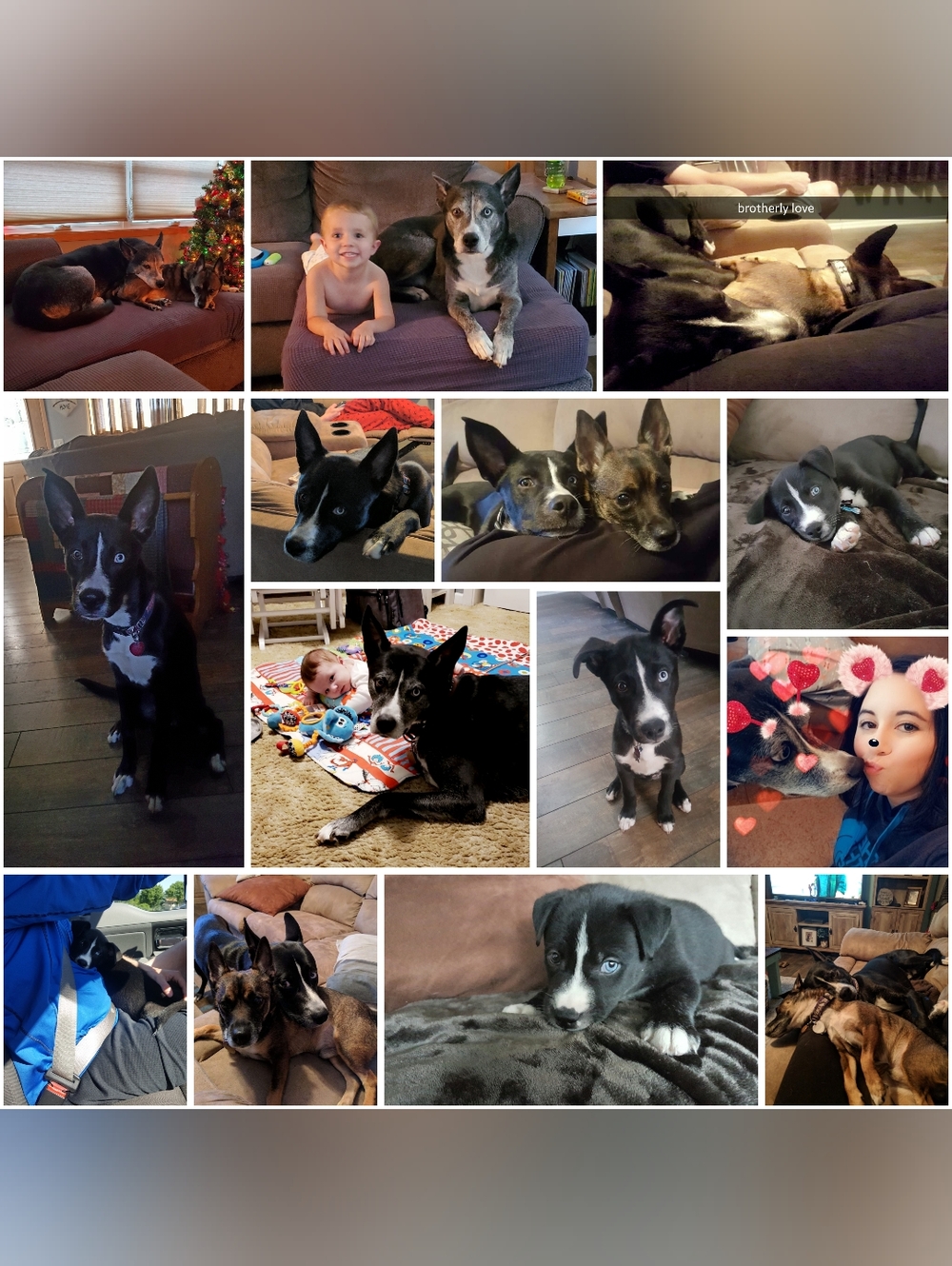 Meet your Posher, Raquel